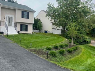 Lindsay F.'s grass maintenance service result