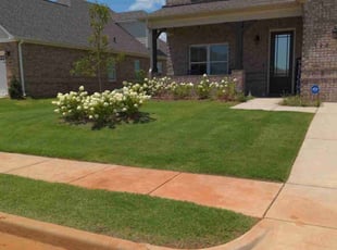 Madison S.'s grass cutting service result