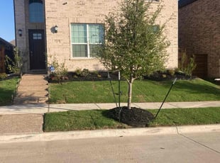 Corey J.'s turf maintenance service result