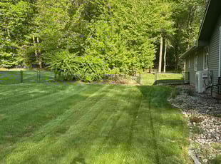 Pam W.'s lawn maintenance service result