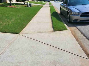 Muriel A.'s lawn care service result