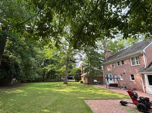 Mark N.'s lawn service service result
