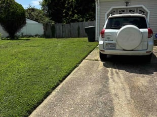 Paris N.'s lawn care services service result