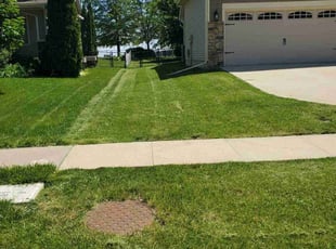 Tess C.'s turf maintenance service result