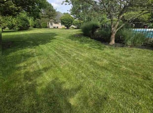 Margaret H.'s lawn service service result
