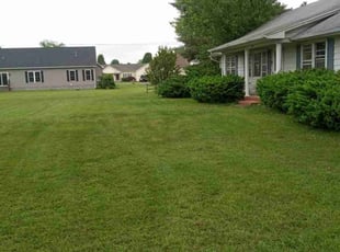 Connie P.'s grass cutting service result