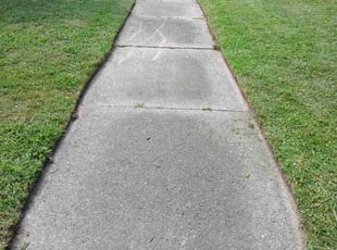 Dawn Z.'s lawn maintenance service result