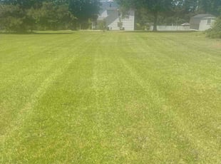 Stephen D.'s grass cutting service result