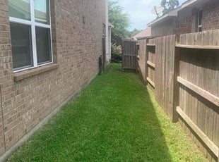 Toni S.'s lawn care service result