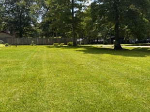 Nuree S.'s grass maintenance service result