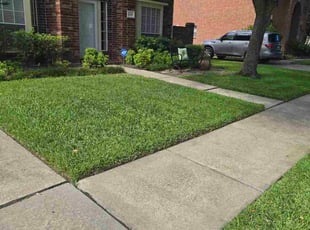 Steve B.'s lawn care service result