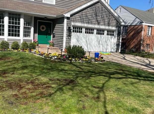 Vanessa A.'s grass cutting service result