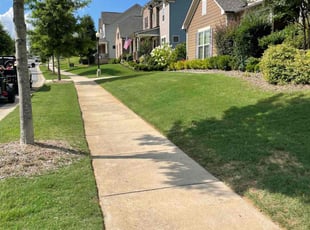 Magaly N.'s turf maintenance service result
