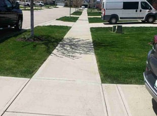 Tony H.'s lawn care service result