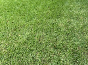 Karen S.'s lawn maintenance service result