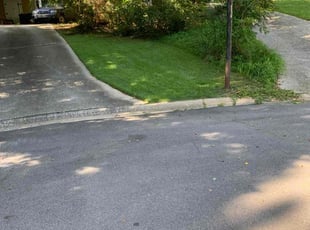 Michael E.'s grass maintenance service result