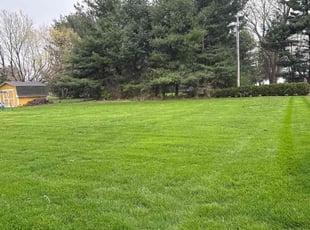 Deb K.'s lawn maintenance service result