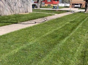 Sharon W.'s lawn care services service result