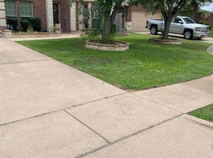Sohni A.'s Bush Trimming service result