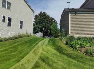 Rosemarie D.'s turf maintenance service result