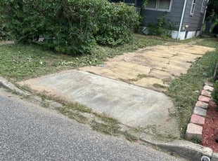 Aslin O.'s Long Grass Cleanup service result