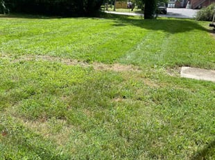 Ronald W.'s lawn maintenance service result