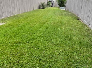 Ian D.'s lawn care services service result