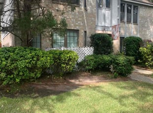 Peggy W.'s Bush Trimming service result