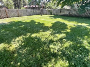 Falicha B.'s lawn service service result