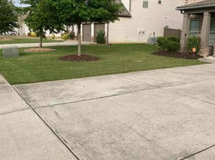 Rajeev S.'s lawn service service result