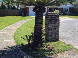 Steve S.'s Other service result