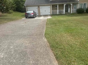Martin C.'s lawn care service result