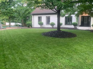 Tommie D.'s lawn maintenance service result