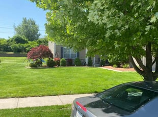 Sherry F.'s lawn service service result