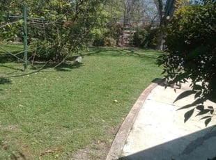 Daphne G.'s grass maintenance service result