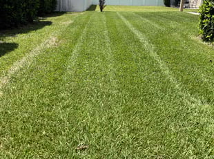 Wendy D.'s lawn maintenance service result
