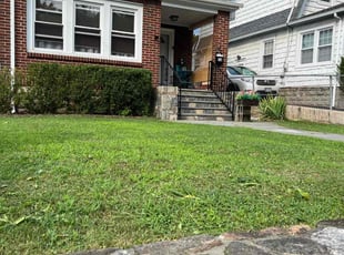 Peter M.'s grass maintenance service result