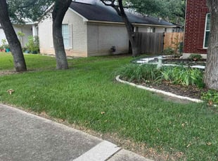 Steven C.'s turf care service result
