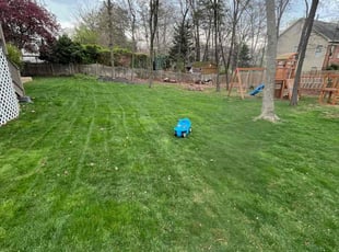 undefined F.'s grass maintenance service result