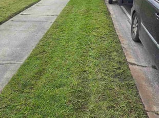 Stephen H.'s turf maintenance service result