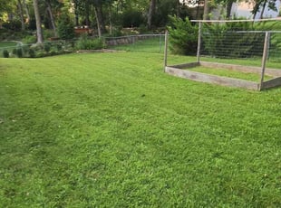 Holly K.'s grass cutting service result