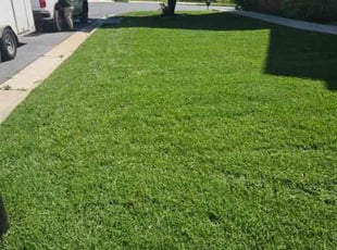 Lauren W.'s lawn care service result