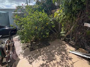 Christine T.'s grass cutting service result