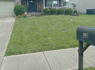 Alexys H.'s turf maintenance service result