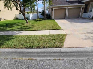 Christopher M.'s lawn service service result