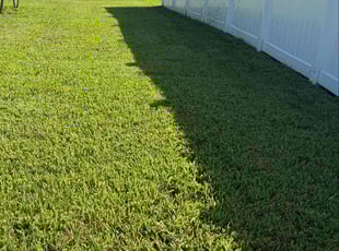 Déja R.'s grass maintenance service result