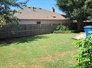 Alex A.'s lawn maintenance service result