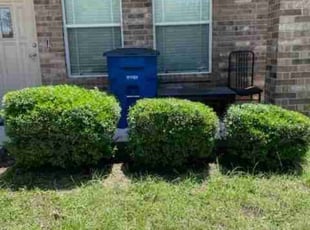 Corley C.'s Bush Trimming service result