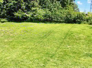 Nina M.'s landscape maintenance service result