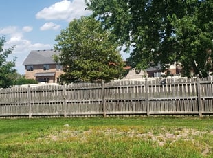 Terri L.'s Bush Trimming service result